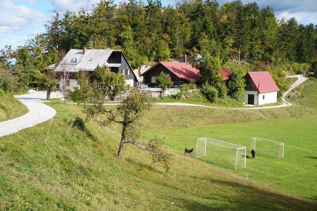 Guest House Beli Kamen Vojsko Экстерьер фото